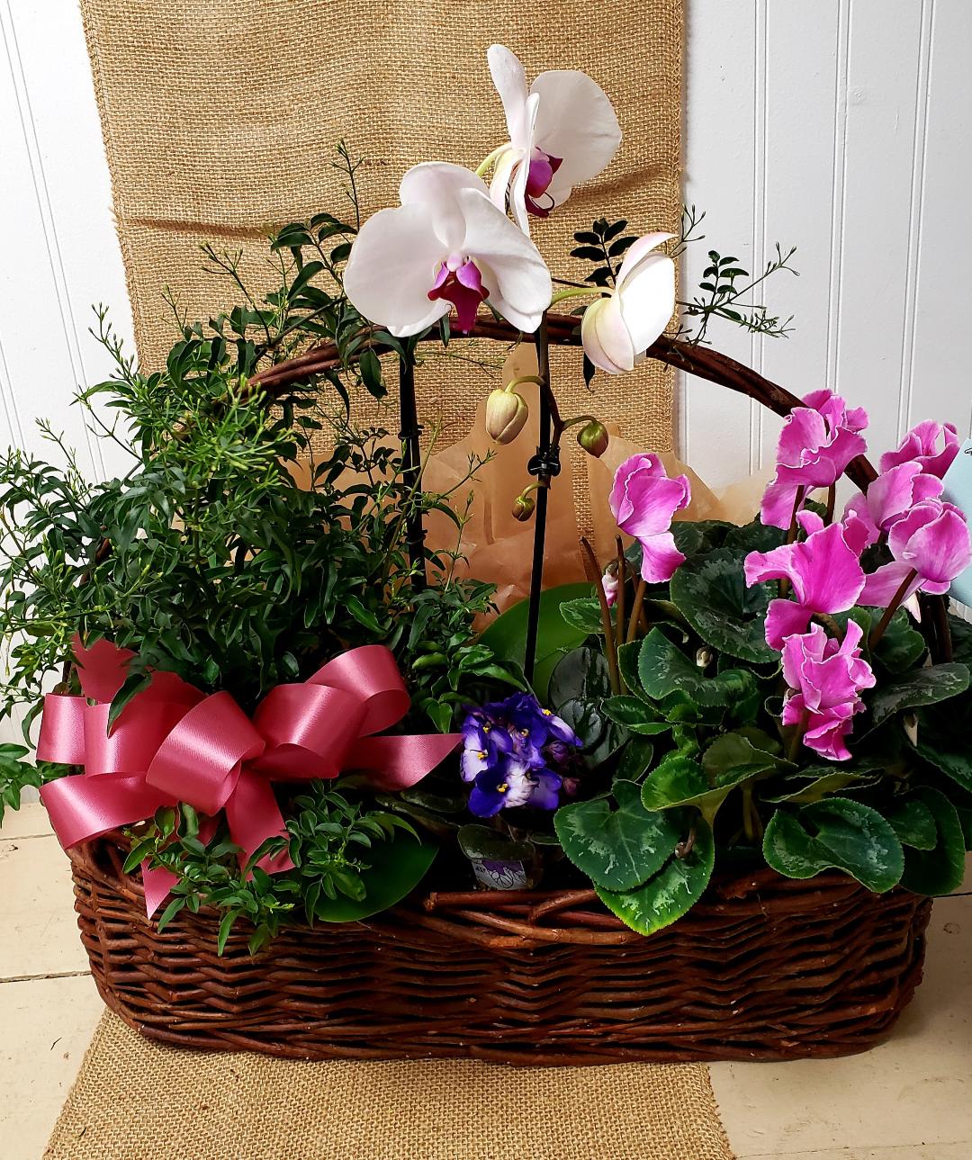 Chocolates, Plants and CBD Products Designs By Linda Florist