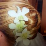 Mini Orchids For Hair